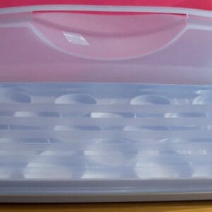 A plastic container with multiple circular compartments, closed with a pink lid.