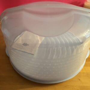 Stack of white disposable plates inside a translucent plastic container.